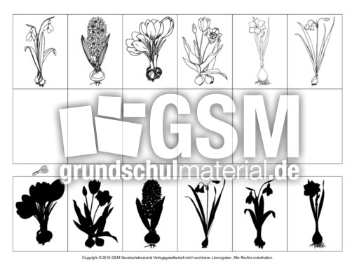 Schattenbilder-Frühblüher.pdf